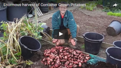 How to... Grow Your Own Potatoes