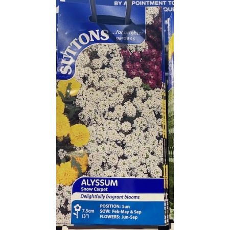 Alyssum Seeds - Snow Carpet (Improved Strain)