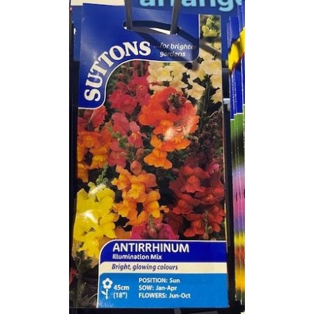 Antirrhinum Seeds - Illumination Mix