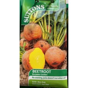 Beetroot Seeds - Burpees Golden