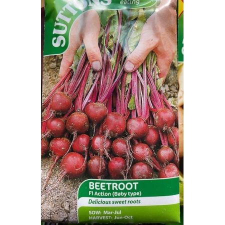 Beetroot Seeds - F1 Action