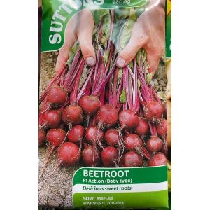 Beetroot Seeds - F1 Action