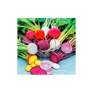 Beetroot Seeds - Rainbow Mix