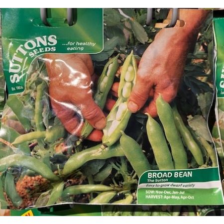 Bean (Broad) Seeds - The Sutton
