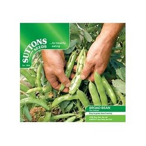 Bean (Broad) Seeds - The Sutton - image 2