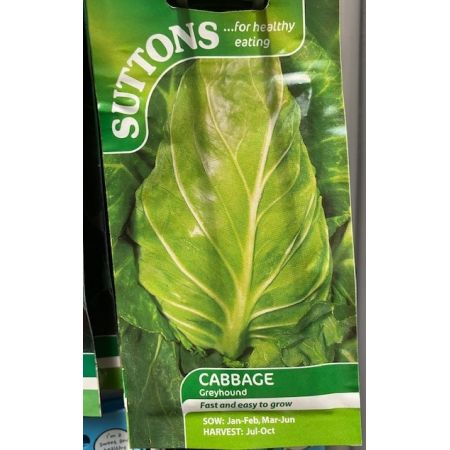 Cabbage Seeds - Greyhound