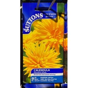 Calendula Seeds - Porcupine Yellow