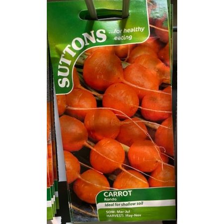 Carrot Seeds - Rondo