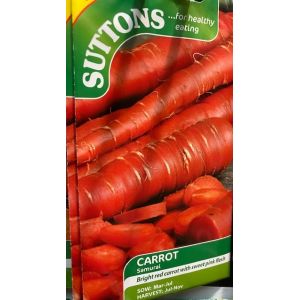 Carrot Seeds - Samurai