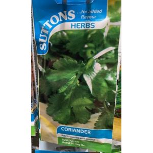 Herb Seed - Coriander
