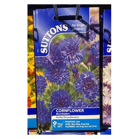 Cornflower Seeds - Blue Diadem