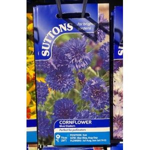 Cornflower Seeds - Blue Diadem