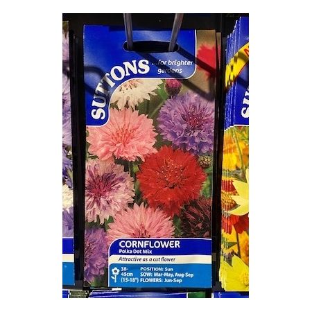 Cornflower Seeds - Polka Dot Mix