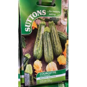 Courgette Seeds - Courcourzelle