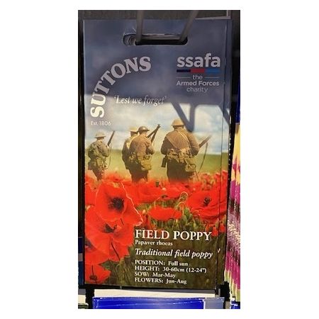 Poppy Seeds - Field Poppy (rhoeas)