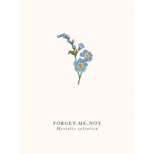 Forget-Me-Not - image 1