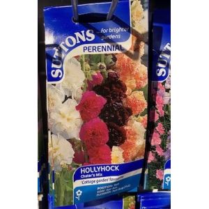 Hollyhock Seeds - Chater's Mix