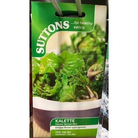 Brussels Sprouts Seeds - Kalette Flower Sprout Mix