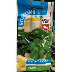 Herb Seed - Lemon Coriander