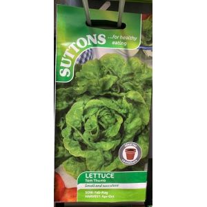 Lettuce Seeds - Tom Thumb