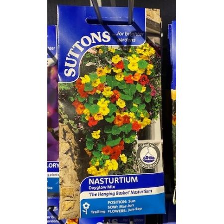 Nasturtium Seeds - Dayglow Mix