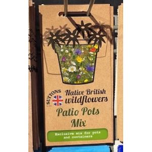 Native British Wildflower Mix Seeds - Patio Pots