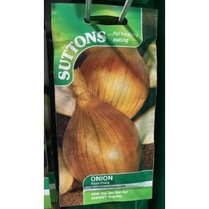Onion Seeds - Ailsa Craig