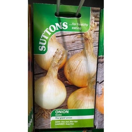 Onion Seeds - Globo