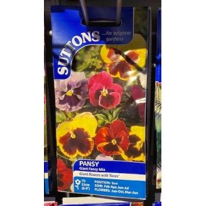 Pansy Seeds - Giant Fancy Mix
