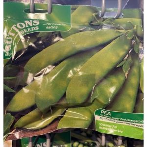 Pea Seeds - Oregon Sugar Pod