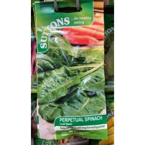 Spinach Seeds - Perpetual Spinach