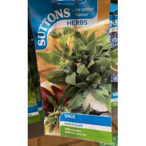 Herb Seed - Sage