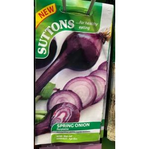Onion Seeds - Purplette