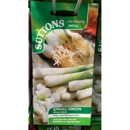 Onion (Salad) Seeds - White Lisbon