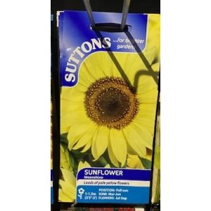 Sunflower Seeds - Moonshine