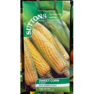 Sweet Corn Seeds - F1 Swift