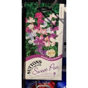 Sweet Pea Seeds - Amethyst & Orchids
