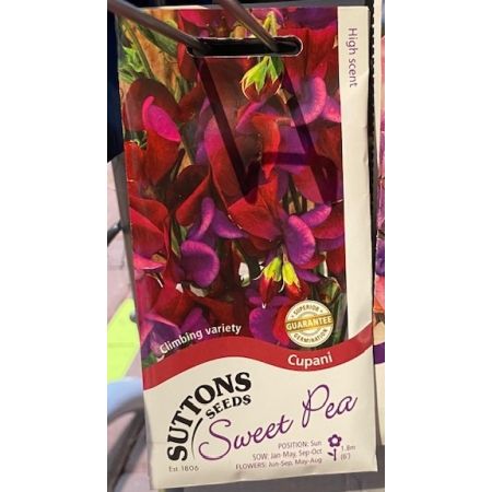 Sweet Pea Seeds - Cupani
