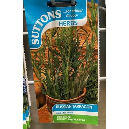 Herb Seed - Tarragon Russian